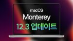 macOS 몬터레이 12.3 업데이트 1