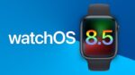 watchOS 8.5 업데이트 1
