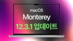 macOS 몬터레이 12.3.1 업데이트 2
