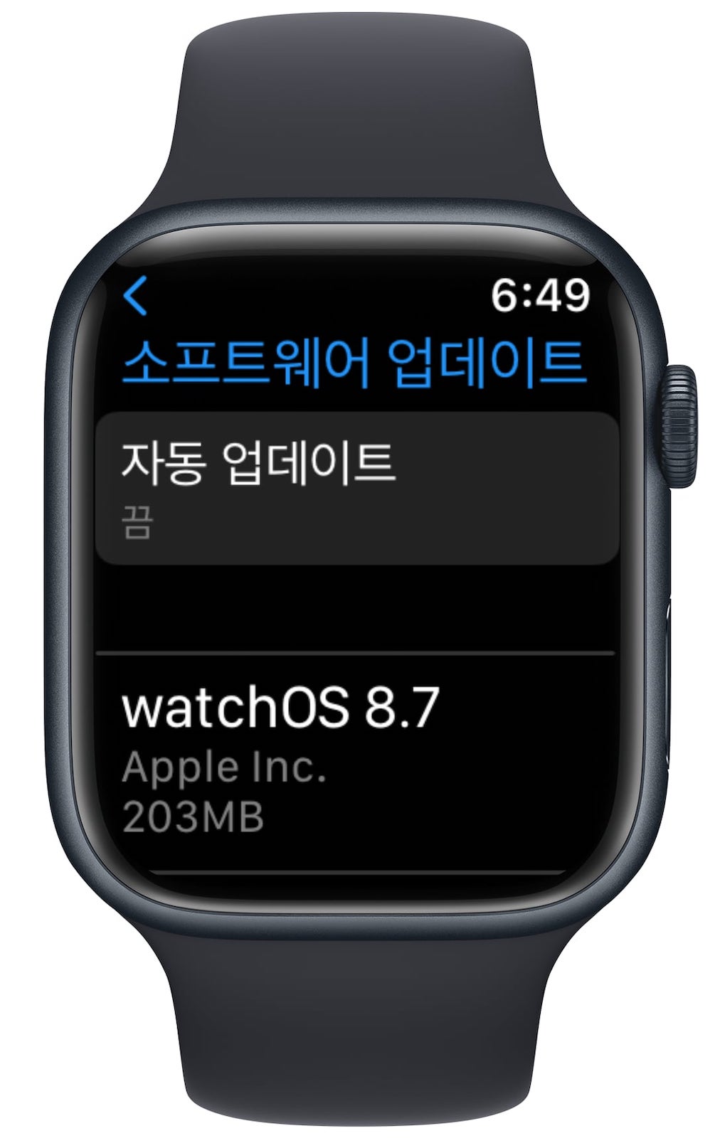 watchOS 8.6 업데이트 파일 크기 애플워치