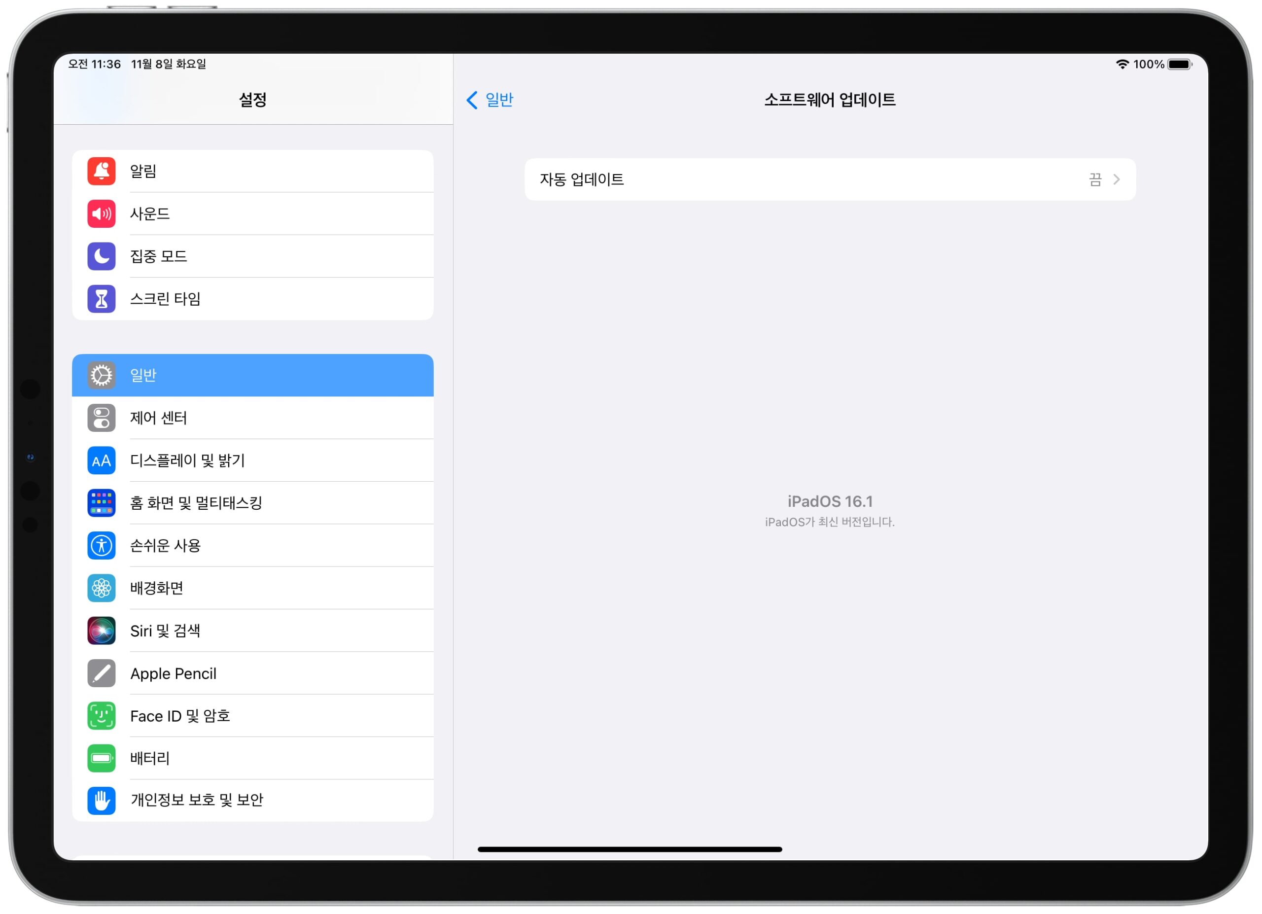 iPadOS 업데이트 화면