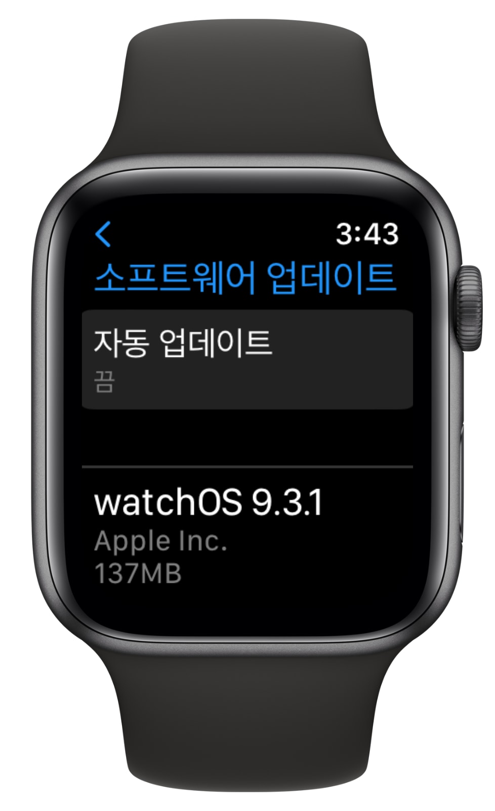 애플워치 watchOS 9.3.1 업데이트