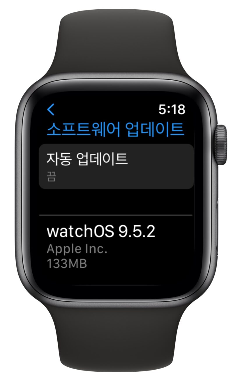 애플워치 watchOS 9.5.2 업데이트