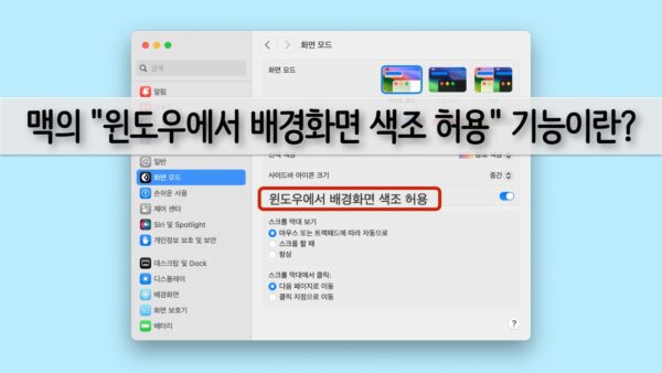맥OS 시스템 설정 “윈도우 배경화면 색조 허용” 기능
