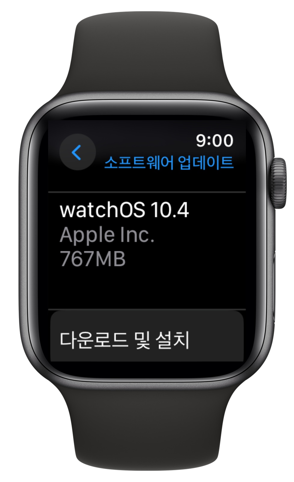 애플워치 watchOS 10.4 업데이트 방법
