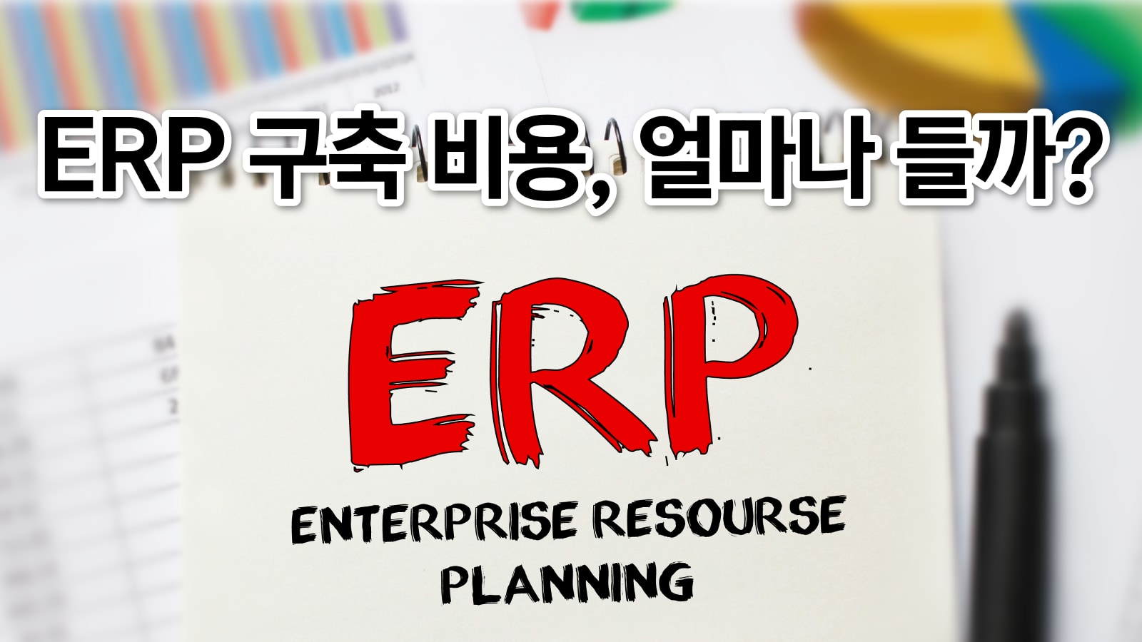 ERP 구축 비용